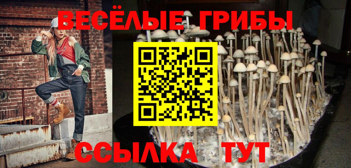 Псилоцибиновые грибы мухоморы  Псилоцибиновые грибы GOLDEN TEACHER  Дятьково  Вход с VPN 